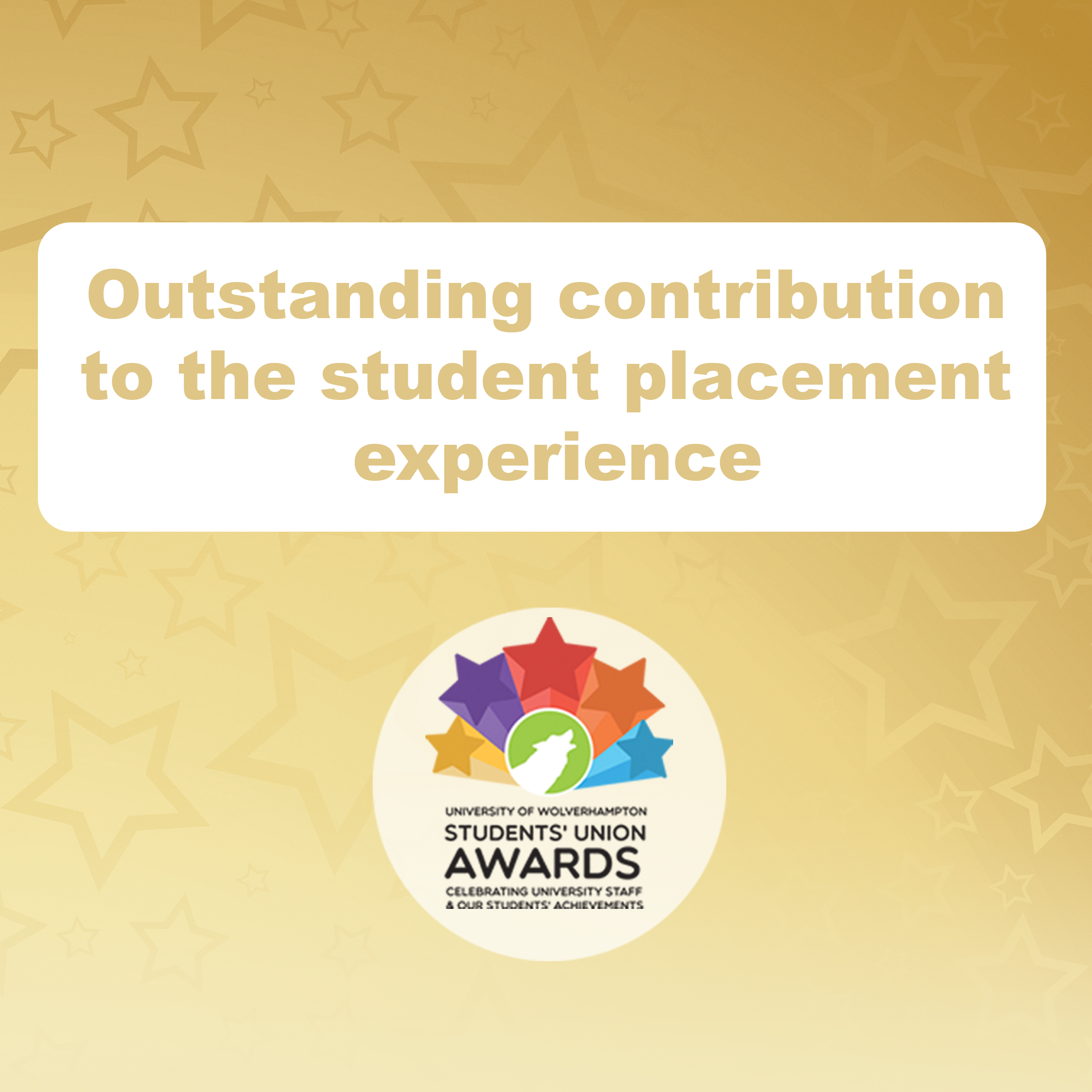 Outstanding contribution to the student placement experience