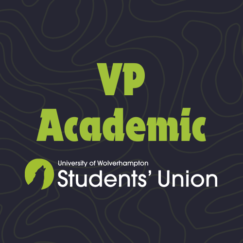 VP Academic