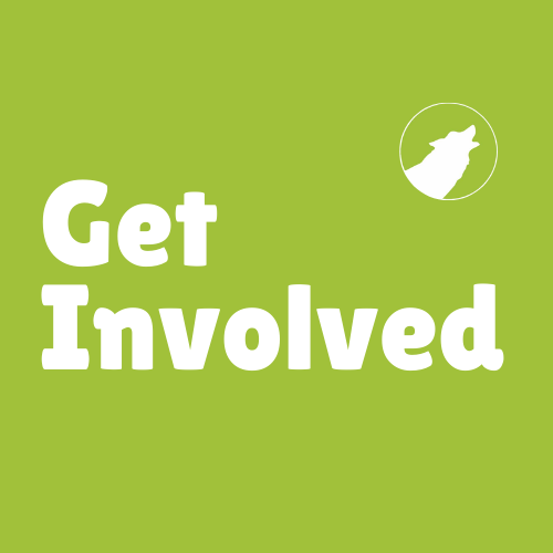 Get Involved Today!