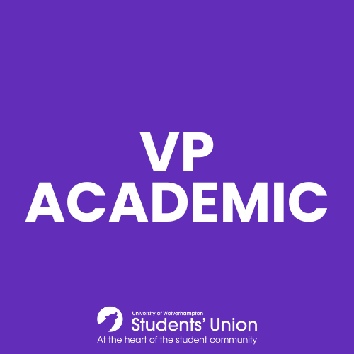VP Academic
