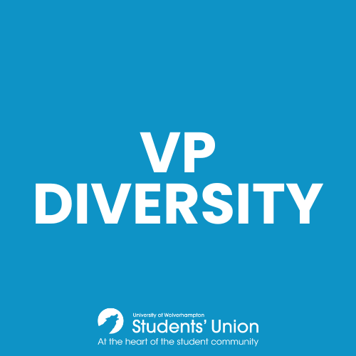 VP Diversity